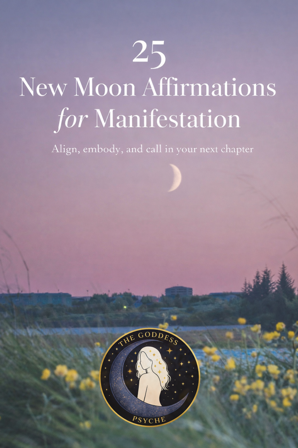 New Moon Affirmations for Manifestation: 25 Powerful Intentions to ...